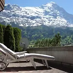 Διαμέρισμα Chamonix By Interhome Γκρίντελβαλντ