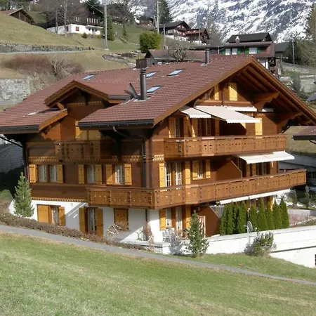 Chamonix By Interhome شقة جريندلوالد