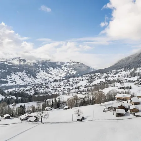 Διαμέρισμα Chamonix By Interhome Γκρίντελβαλντ
