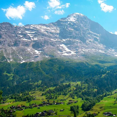 Chamonix By Interhome جريندلوالد