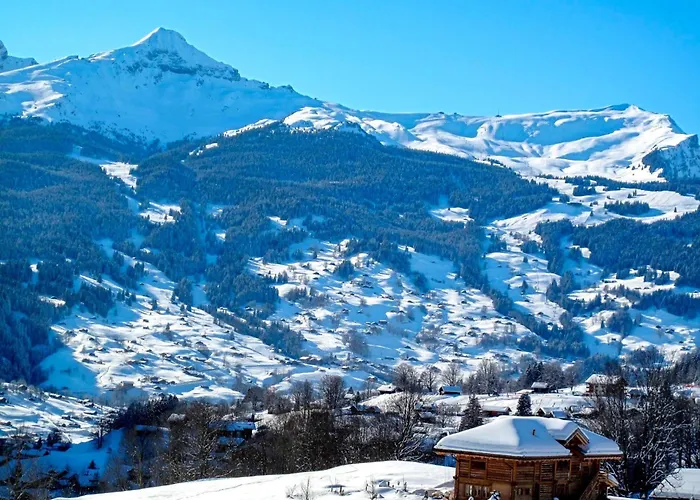 Chamonix By Interhome * 格林德瓦