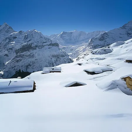 Chamonix By Interhome Γκρίντελβαλντ